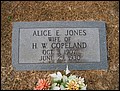 Copeland, Alice Elizabeth Jones, Bethel Cem, Sumter Co, SC.jpg