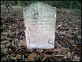 Cosey, Miram Mott, Mineral Springs Cem, Washington Co, GA.jpg
