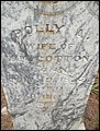 Cotton, Mary Ann Robinson, Martha Chapel Cem, Walker Co, TX.jpg