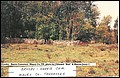 Crosby- Harris Cemetery1, Maury Co, TN.jpg