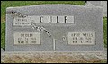 Culp, Dudley & Artie Wells, Judson Cem, Ashley Co, AR.jpg