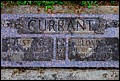 Currant, Lloyd M & Justa Garrett, Greenwood Cem, Lane Co, OR.jpg