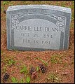 Dunn, Carrie Lee, Whitakers Chapel Cem, Halifax Co, NC.jpg