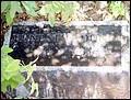 Dunn, Ernest Carl, Flomaton Cemetery, Escambia Co, AL.jpg