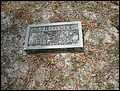 Dyal, John Alexander, Oak Grove Cem, Camden Co, GA.jpg
