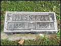 Eads, Pleasant Nicholas, Old Bethel Cem, Marion Co, IL.jpg