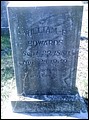 Edwards, William Edwin, Joshua Whitley Cem, Nash Co, NC.jpg