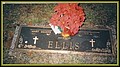 Ellis, Ivy Lee & Mary Elizabeth Sharpe, Iredell Memorial Cem, Iredell Co, NC.jpg