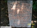 Elmore, Tulley, Bethany - Tiller Cemetery, Turkey Creek, Lee Co, SC.jpg