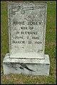 Evans, Abigail D Josey, Pisgah Cem, Sumter Co, SC.jpg