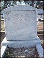 Harvey, Willoughby Linwood, Black Creek Cem, Bryan Co, GA.jpg