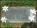 Hatfield, Aurelia B Phillips, Rose Hill Cem, Muhlenberg Co, KY.jpg