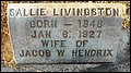 Hendrix, Sallie Livingston, Woodlawn Cem, Dodge Co, GA.jpg