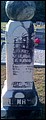 Henry, John Emmett, Lambs Cemetery Emanuel Co, GA.jpg