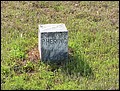 Hering, Mary Polly Tilton, Watson Cem, Cass Co, TX.jpg
