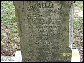 Herring, Cornelia J,  Trinity Cem, Halifax Co, NC.jpg