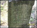 Herring, John Robert,  Trinity Cemetery Scotlamd Neck, Halifax Co, NC.jpg