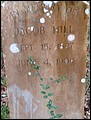Hill, Jacob, Hill Cem, Austin Co, TX.jpg