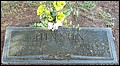 Hinson, William Albert & Erline Jeanette Watts, Bethel Baptist Cem, Sumter Co, SC.jpeg
