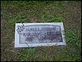Hudson, James Lawson, Arlington Cemetery, Union Co, AR.jpg