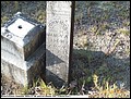Idom John, Brown Cemetery, Cass Co, TX 006.jpg