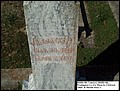 Jackson, Benjamin Franklin Jr, Riddleville Cem, Washington Co, GA.jpg