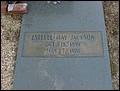 Jackson, Estelle May, Black Springs Cem, Baldwin Co, GA.jpg