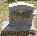 Josey, Dennis Edward, Winborn Chapel Cem, Greene Co, MS.jpg