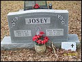Josey, Douglas E & Nina Frances Rickman, Antioch Cem, Ashley Co, AR.jpg