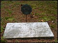 Tignor, Thomas Walter, Whitakers Chapel Cem, Halifax Co, NC.jpg