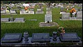 Walters, James Hughie & Vinnie Sumerall, Mill Creek Cem, Jones Co, MS.jpg