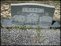 Ward, Leamon Victor & Ellie Elizabeth Cross, Hatcher Cem, Walton Co, FL.jpg