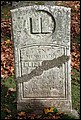Waters, Eliza Jane Reese, Hilside Cem, Niagara, Ontario, Canada.jpg