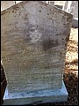 Whitaker Henry H Dr, McTyiere Family Cemetery, Nash Co, NC.jpg