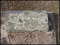 Whitaker, Lou Ann Orr, Zeta Cem, Washington Co, GA.jpg
