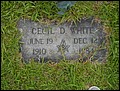 White, Cecil Dewey, Palestine Cem, Clay Co, MS.jpg