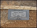 White, Dllia Adell, Mitchell Cem, Bosque Co, TX.jpg