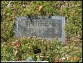 Whitehead, John & Mary, Pleasant Hope Cem, Cass Co, TX.jpg