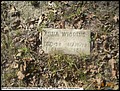 Wiggins, Anna, Pleasant Hope Cem, Cass Co, TX.jpg