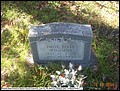 Wiggins, Daisy Belle, Pleasant Hope Cem, Cass Co, TX.jpg