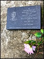 Williams, Margaret Thomas Philips, Philips S H Cem, Davidson Co, TN.jpg