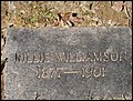 Williamson, Amy Rillie Dowling, Arnold Cem, Cherokee Co, TX.jpg