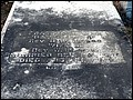 Winn, Frances Mary Starr, Shadowlawn Cem, Gwennett Co, GA.jpg