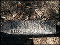 Wood, Isabella W Josey, Bay Springs Cem, Washington Co, GA.jpg