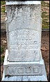 Wood, James Wilson, Bay Springs Cem, Washington Co, GA.jpg