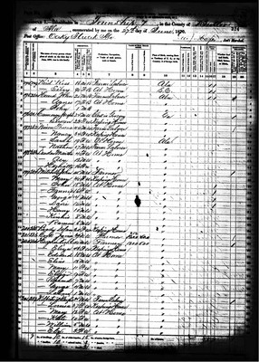 1870, Elizabeth Josey Hughes, Butler Co AL.jpg