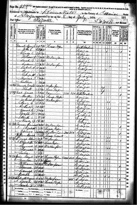 1870, Mary B Mimms Josey Marion Co GA.jpg