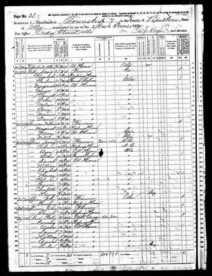 1870, Olive Emiline Josey Spear, Butler Co AL.jpg