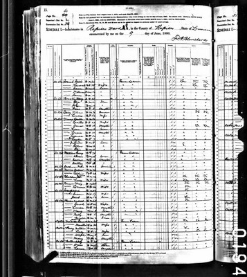 1880, Alex Josey, Rapides Parish LA, col.jpg