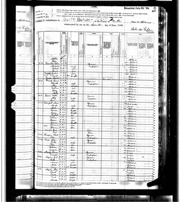 1880, Amanda Josey Banister Butler Co AL.jpg